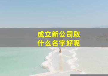 成立新公司取什么名字好呢,成立新公司取什么名字好呢两个字