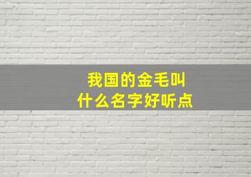 我国的金毛叫什么名字好听点