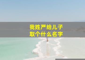 我姓严给儿子取个什么名字,严姓宝宝