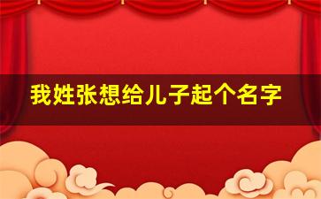 我姓张想给儿子起个名字