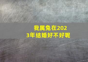 我属兔在2023年结婚好不好呢,99年属兔女2023年婚姻运势结婚好吗