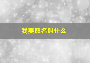 我要取名叫什么,我要取名字叫什么