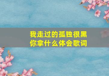 我走过的孤独很黑你拿什么体会歌词,我走过的孤独很黑是什么意思