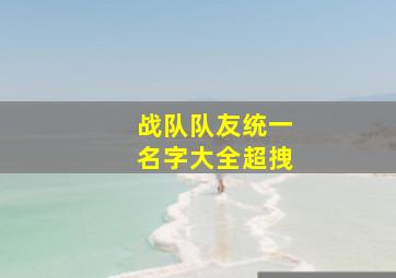 战队队友统一名字大全超拽,战队统一昵称沙雕一点