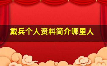 戴兵个人资料简介哪里人,戴兵简介图片