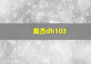 戴杰dh103