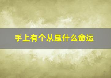 手上有个从是什么命运,手纹有个从字