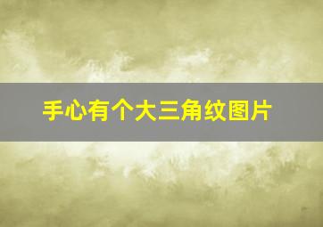 手心有个大三角纹图片,手心有大三角形预示什么