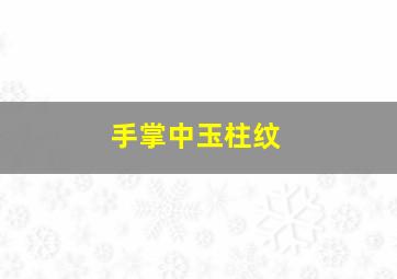 手掌中玉柱纹,手掌玉柱纹适合修道行