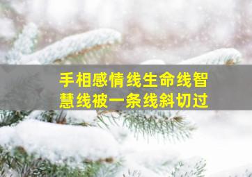 手相感情线生命线智慧线被一条线斜切过,生命线智慧线感情线上有一条线穿过