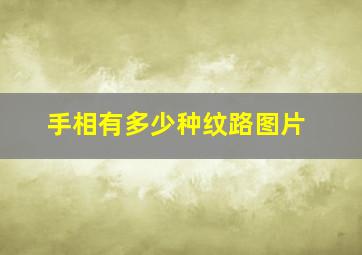 手相有多少种纹路图片,怎么看手相