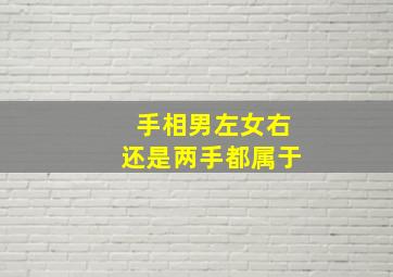 手相男左女右还是两手都属于