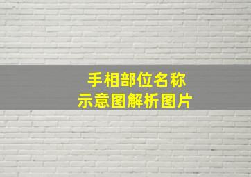 手相部位名称示意图解析图片,手相位置区域图