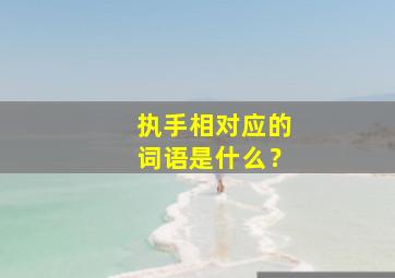 执手相对应的词语是什么？,与执手搭配的词