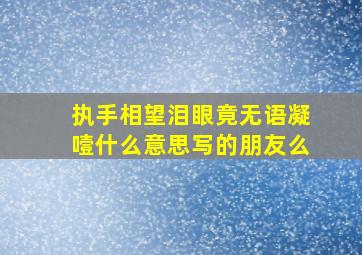 执手相望泪眼竟无语凝噎什么意思写的朋友么,竟无语凝噎用什么写法写出什么情状