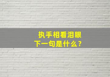 执手相看泪眼下一句是什么？,执手相看泪眼的上一句是什么