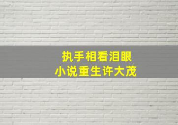 执手相看泪眼小说重生许大茂,执手相看泪眼谁写的