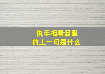 执手相看泪眼的上一句是什么,执手相看泪眼执手什么意思