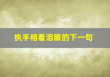 执手相看泪眼的下一句,执手相看泪眼出自哪里