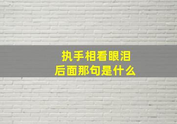 执手相看眼泪后面那句是什么,执手相看眼泪后面那句是什么意思