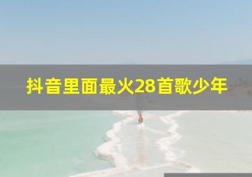 抖音里面最火28首歌少年,2024年抖音最火的歌曲前十名少年