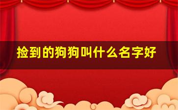 捡到的狗狗叫什么名字好,捡到的狗狗取什么名字