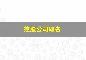 控股公司取名,控股公司取名怎么取