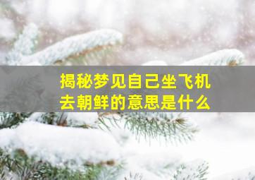 揭秘梦见自己坐飞机去朝鲜的意思是什么,梦见去坐飞机是什么预兆