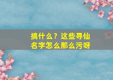 搞什么？这些寻仙名字怎么那么污呀,寻仙名字漂亮带符号