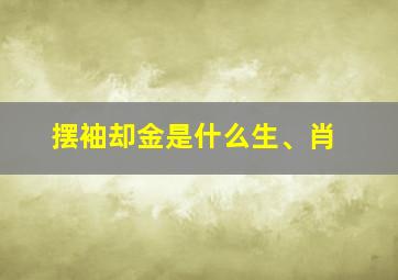 摆袖却金是什么生、肖,弟字结尾的成语大全