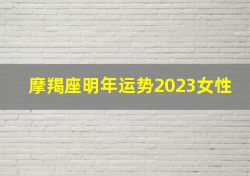 摩羯座明年运势2023女性,摩羯座2023年工作运势如何