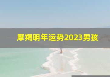 摩羯明年运势2023男孩,2023年摩羯男健康运怎么样总体向好