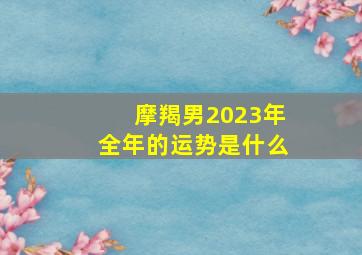 摩羯男2023年全年的运势是什么,2023年摩羯男财运怎么样具体分析吉星庇佑财源滚滚