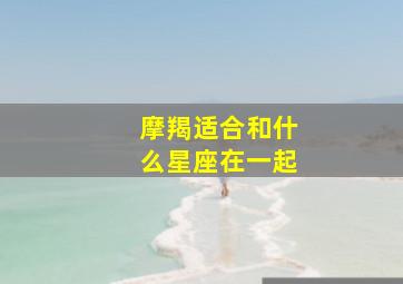 摩羯适合和什么星座在一起,摩羯适合和什么星座谈恋爱