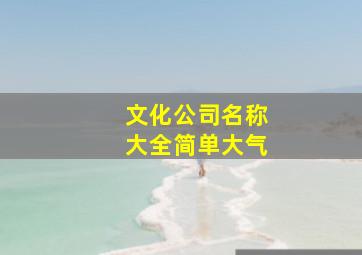 文化公司名称大全简单大气,文化传媒工作室名字