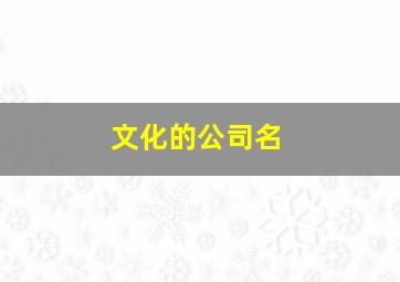 文化的公司名,文化的公司名称有哪些