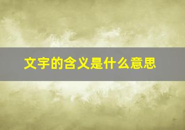 文宇的含义是什么意思,男孩名文宇的意思