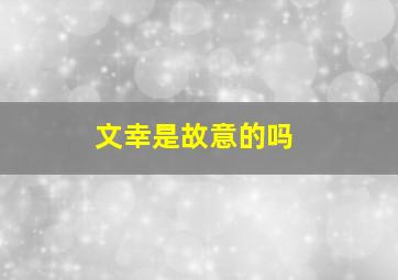 文幸是故意的吗,文幸是坏人吗