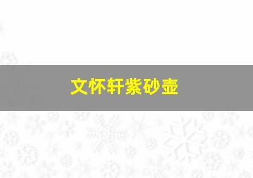 文怀轩紫砂壶,文怀沙画家