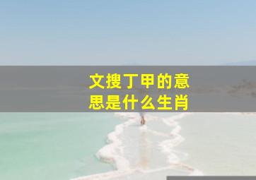 文搜丁甲的意思是什么生肖,