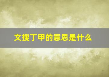 文搜丁甲的意思是什么,文搜丁甲图片