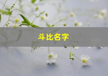 斗比名字,斗揞名字