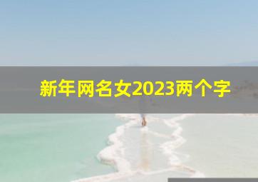 新年网名女2023两个字,新年网名女2023两个字