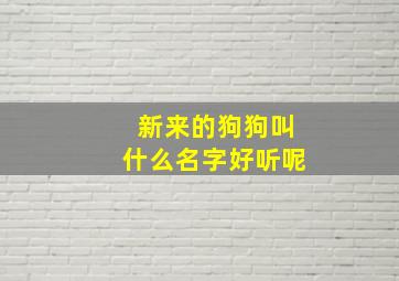 新来的狗狗叫什么名字好听呢,新来的狗狗要叫几天