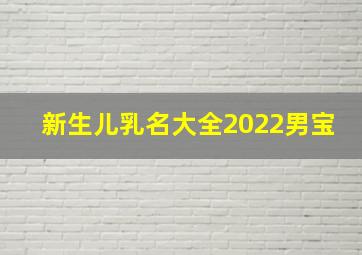 新生儿乳名大全2022男宝,2022最新男孩乳名洋气点的