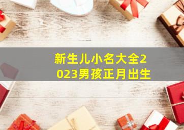 新生儿小名大全2023男孩正月出生,小年出生男孩小名2023年可爱的乳名分享