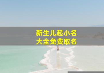 新生儿起小名大全免费取名,小孩小名大全