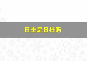 日主是日柱吗,八字中日柱是日主