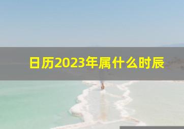 日历2023年属什么时辰,2023年2月3日老黄历查询什么日子