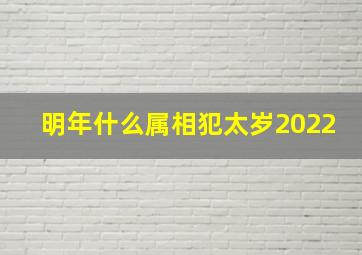 明年什么属相犯太岁2022,2022年犯太岁的生肖2022年什么生肖害太岁